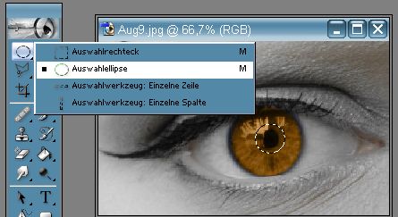 /images/890/augenfaerben/Kat1.jpg