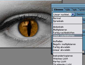 /images/890/augenfaerben/Kat3.jpg