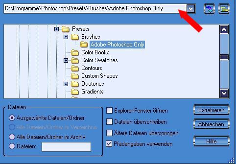 /images/896/photoshop_brushes/B2psd.jpg