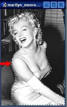 /images/896/photoshop_brushes/Bild7.jpg